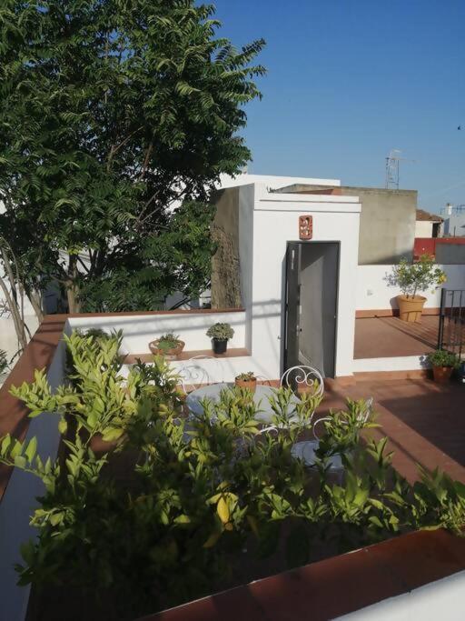 Apartamento El Sosiego ซันลูการ์เดบาร์ราเมดา ภายนอก รูปภาพ